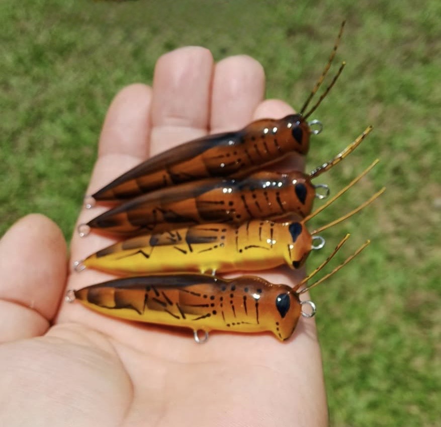 Gato Lures Señuelo Paseante Grillo 77